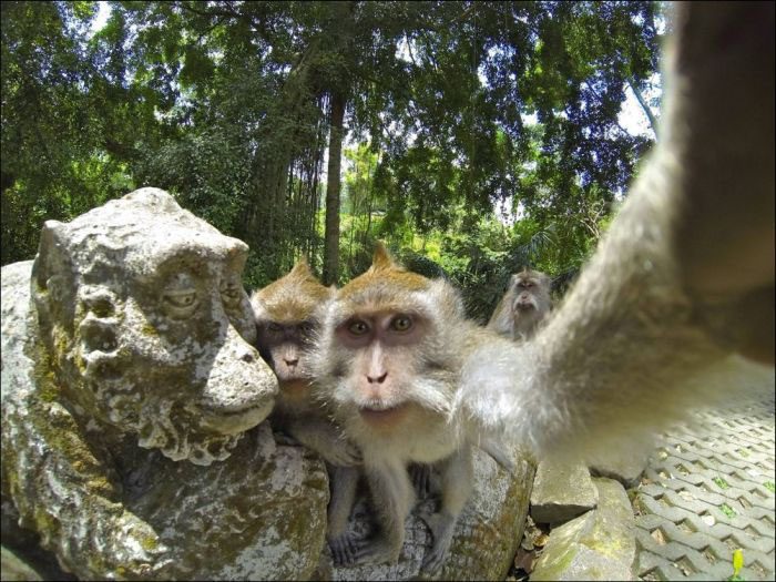 gopro_best_photos (20)
