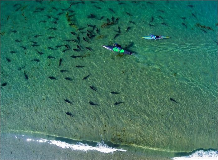 gopro_best_photos (22)