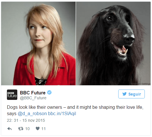 OS CÃES E OS SEUS DONOS
