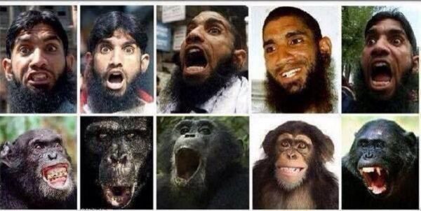 isis_gozo_anonymous (4)