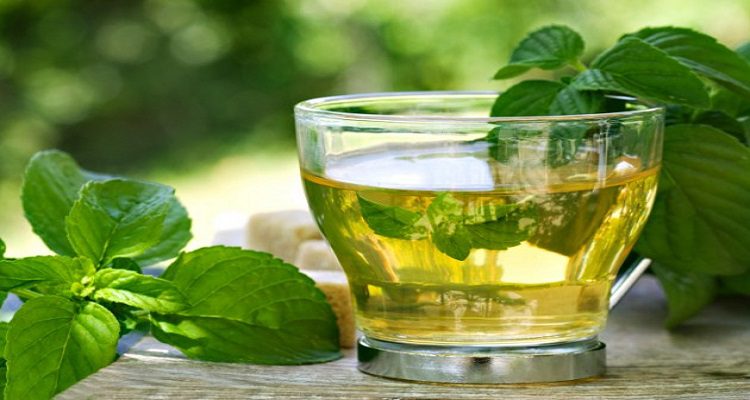 OS BENEFÍCIOS DO CHÁ VERDE