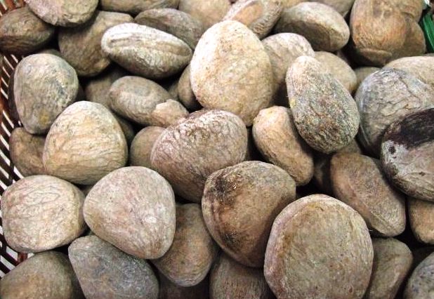 ALIMENTOS PERIGOSOS