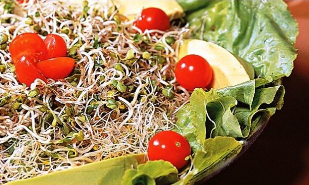 ALIMENTOS PERIGOSOS