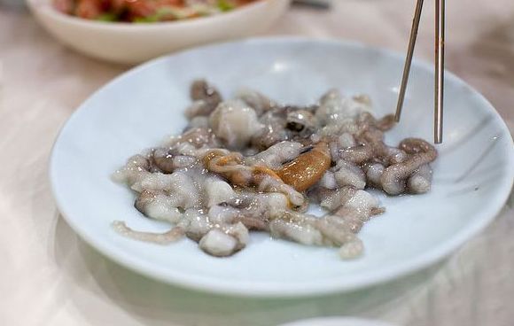 ALIMENTOS PERIGOSOS