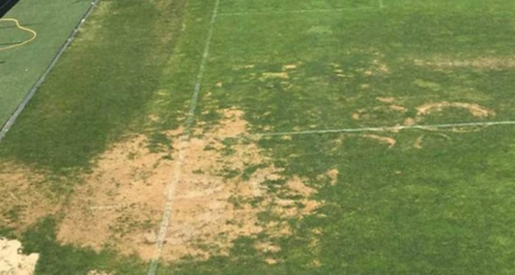 BENFICA ADMITE FALTAR NA 1ª JORNADA