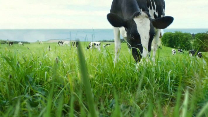 AÇORES: NOVOS APOIOS EUROPEUS