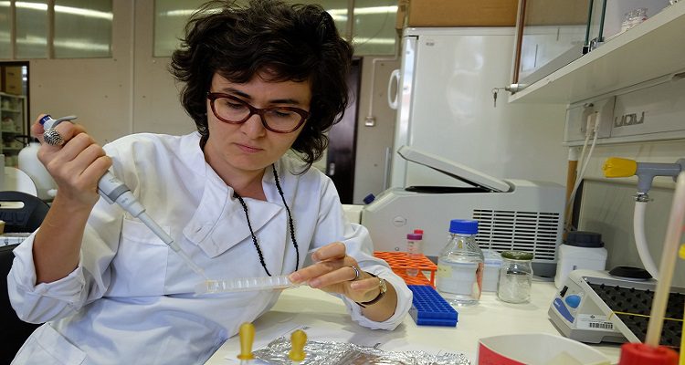 FUNDAÇÃO GATES APOIA CIÊNCIA PORTUGUESA