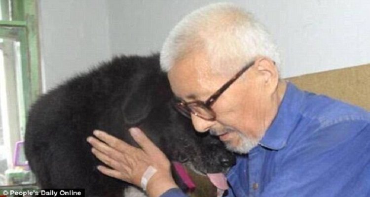 IDOSO QUER DEIXAR HERANÇA A UM CÃO
