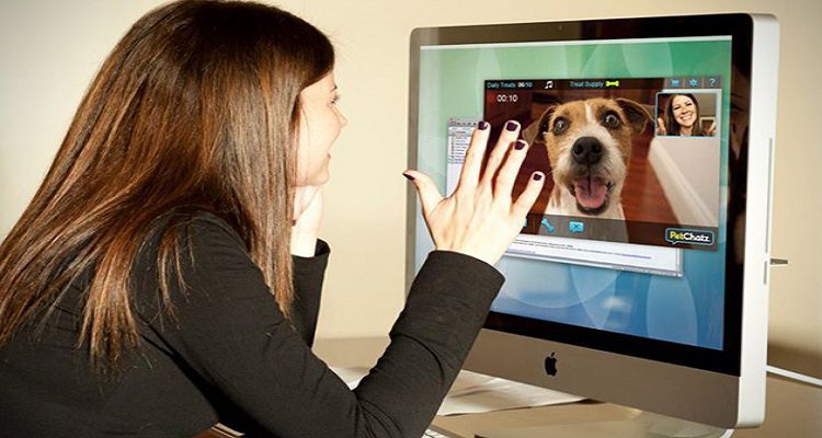 O "SMARTPHONE" DOS ANIMAIS DE ESTIMAÇÃO
