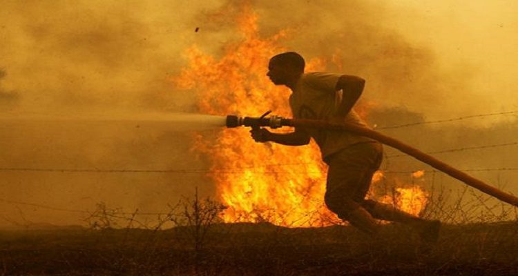 DETIDO INCENDIÁRIO DA MADEIRA