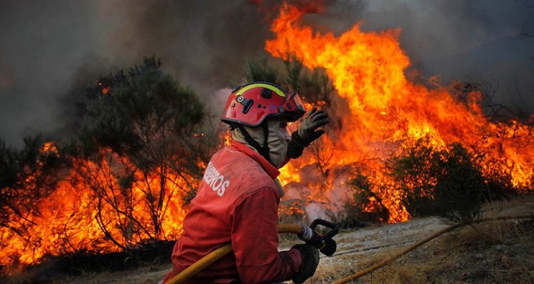 INCÊNDIOS: "HÁ UMA ONDA TERRORISTA ORGANIZADA"