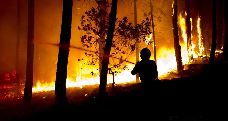 PJ DETEVE 77 INCENDIÁRIOS NESTE VERÃO