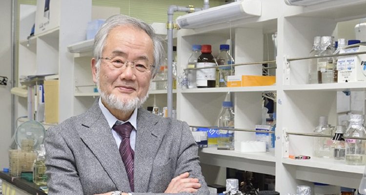 NOBEL DA MEDICINA PARA YOSHINORI OHSUMI