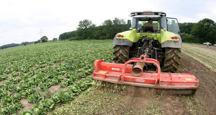 agricultura-463-milhoes-apoios