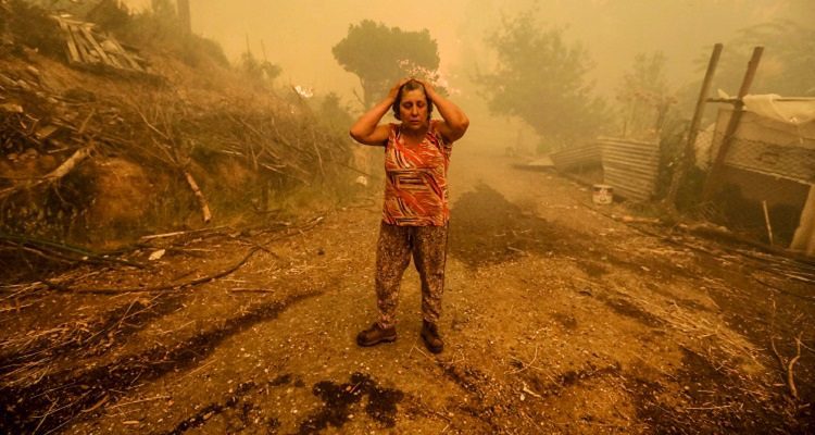 fogo-florestal-siga-estas-dicas